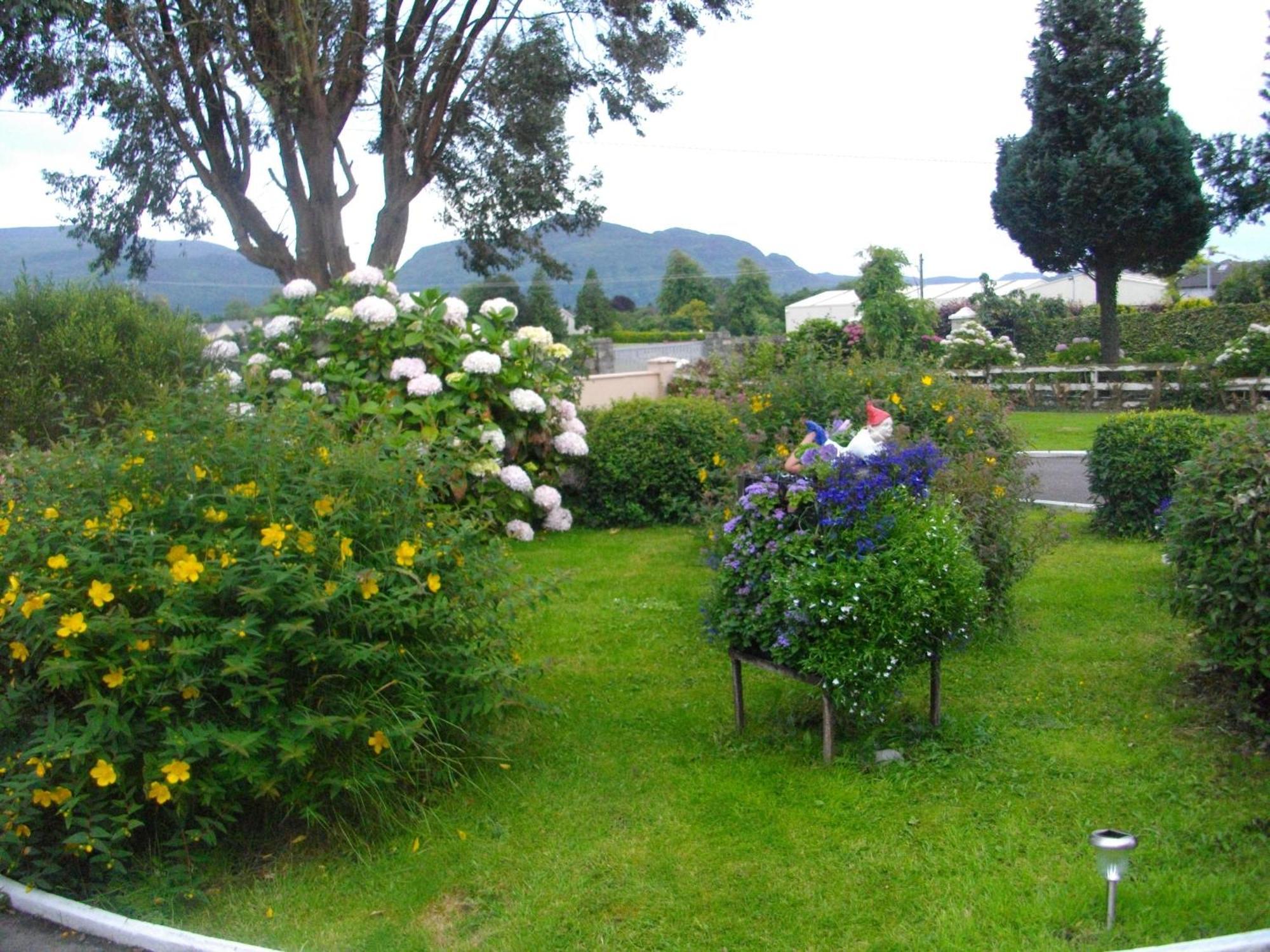 קיל איירן Shepherds Lodge B&B מראה חיצוני תמונה